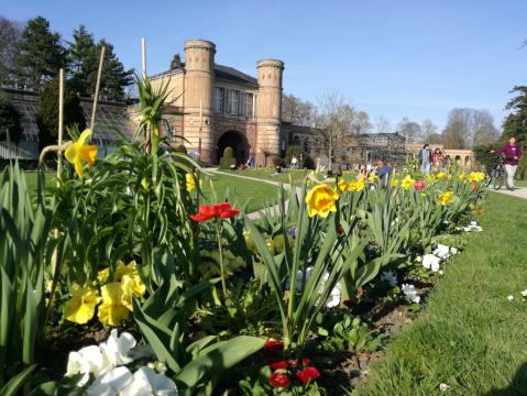 Ein Frühlingstag in Karlsruhe