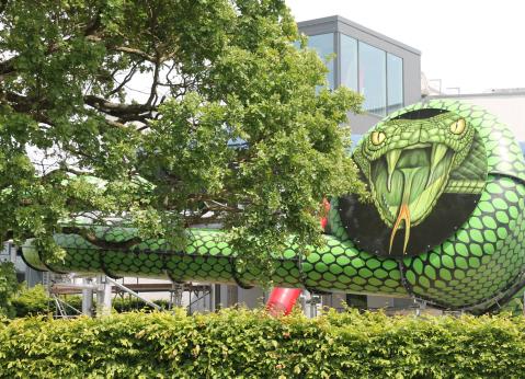 Wo sich Hai und Schlange gute Nacht sagen…