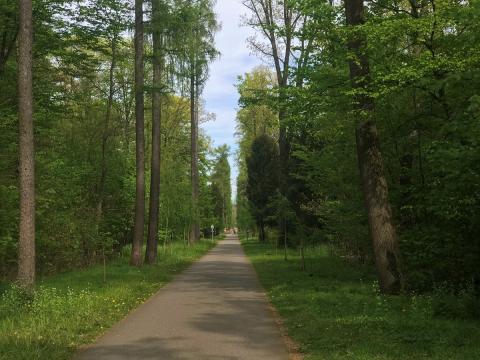 Karlsruhe gewissenhaft erleben