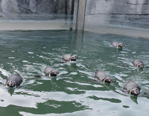 Karlsruhe - Tierisch schön