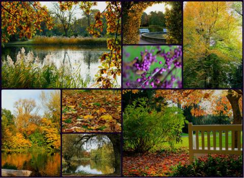 Leuchtender Herbst in Karlsruhe