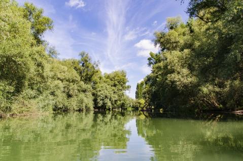 Flora und Fauna vom Wasser aus entdecken – Eine Paddeltour wie in den Everglades