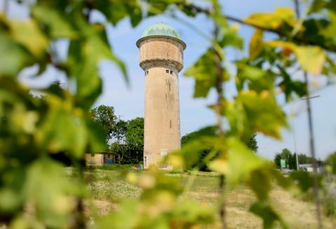 Pop-Up Bar Wasserturm