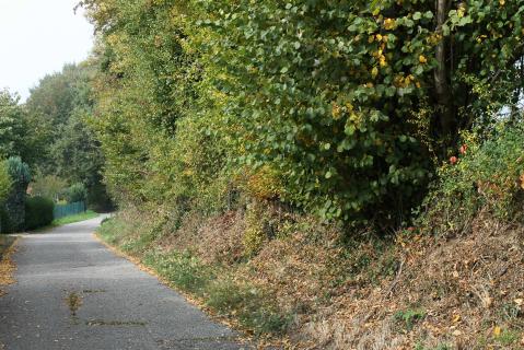 Stadtteilentdeckertour: Grünwettersbach