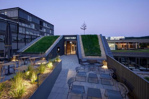 TAWA YAMA - Easy and Fine