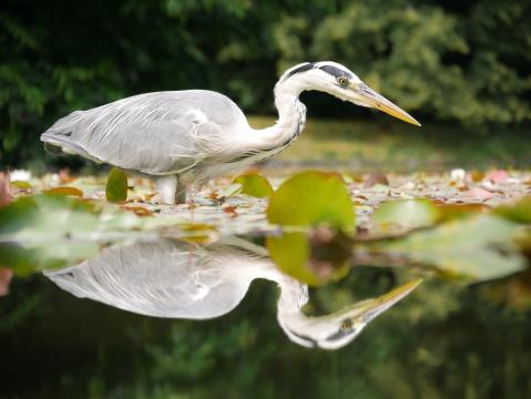 Mit der Kamera unterwegs in der Innenstadt