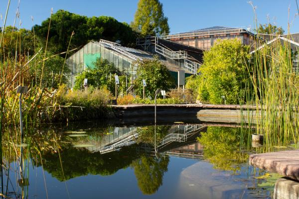 Botanischer Garten KIT_(c) Maren Riemann_klein