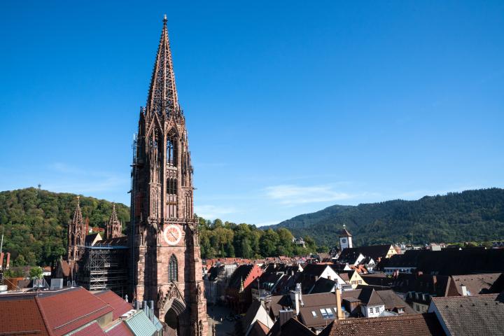 Freiburg Münster © Copyright FWTM-Baschi Bender