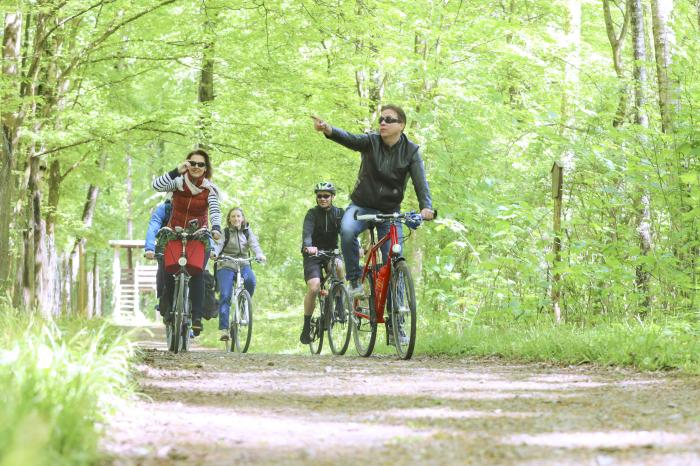 Radfahrer in der Natur
