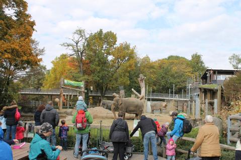 Ein perfekter Tag im Zoo
