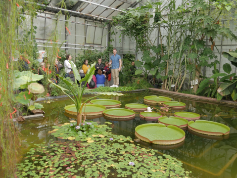 Nachtbeitrag_Botanischer Garten KIT_(C) KME Max Trinter (38)